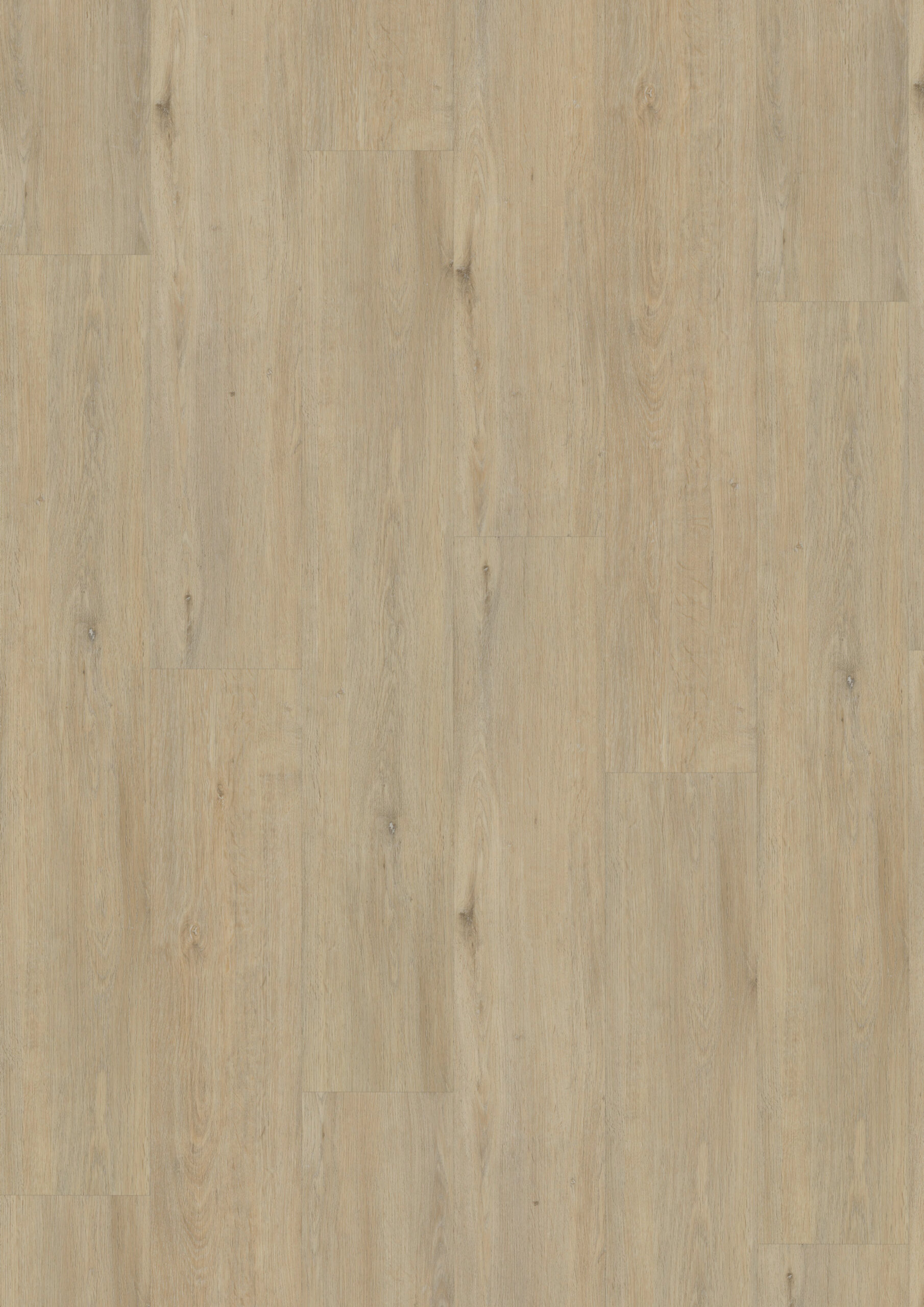 Vivafloors Clickvariant Eiken 6501