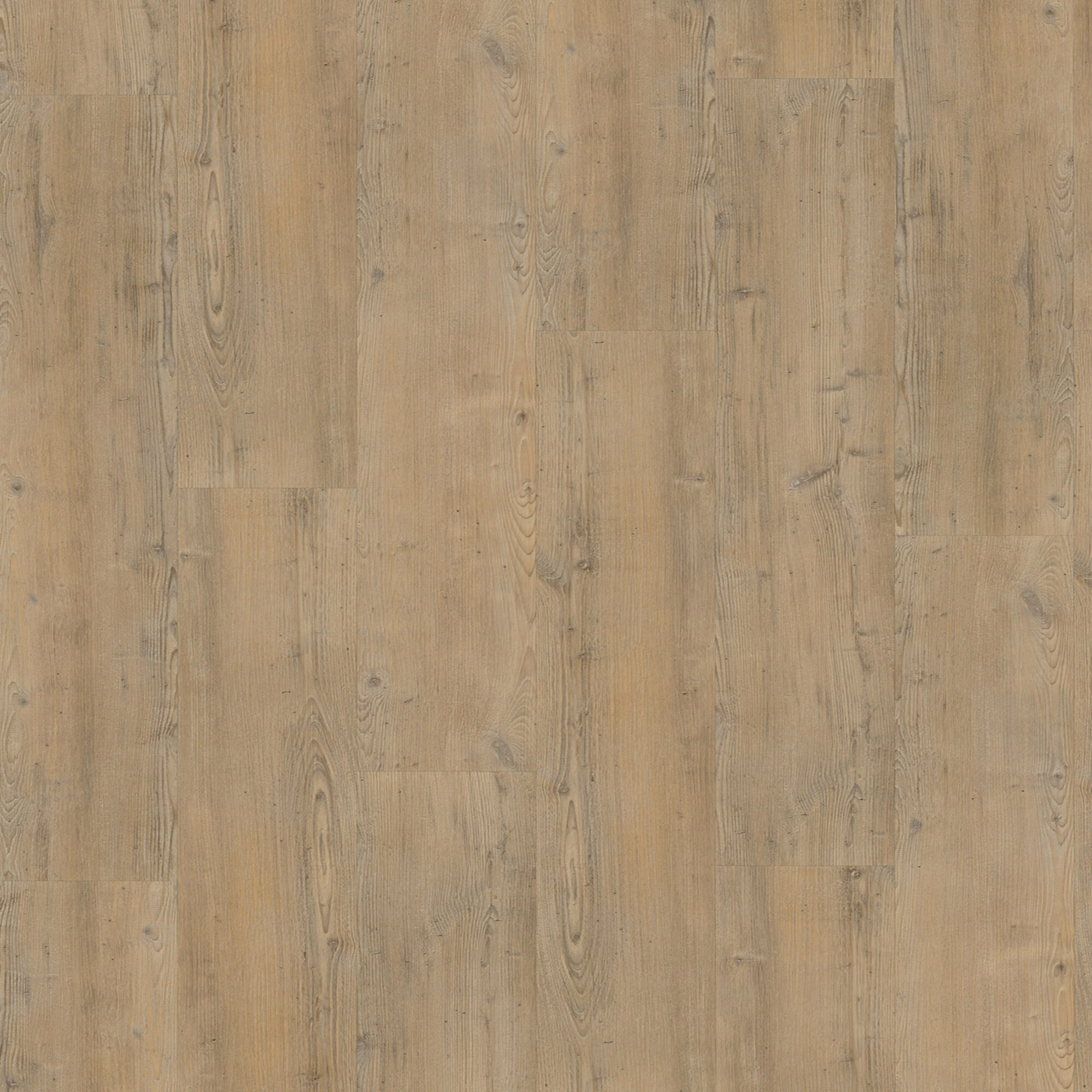 Vivafloors Clickvariant Naaldhout 4203